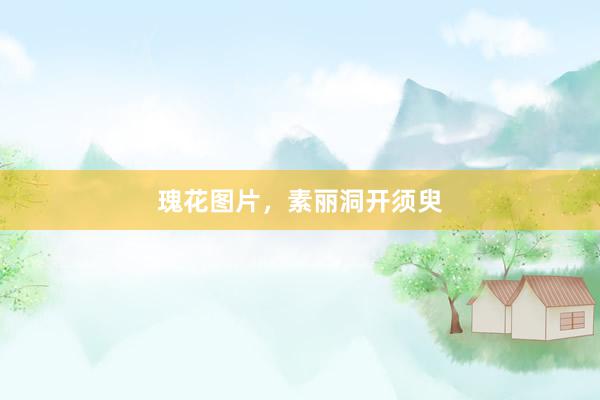 瑰花图片，素丽洞开须臾