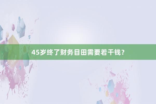 45岁终了财务目田需要若干钱？
